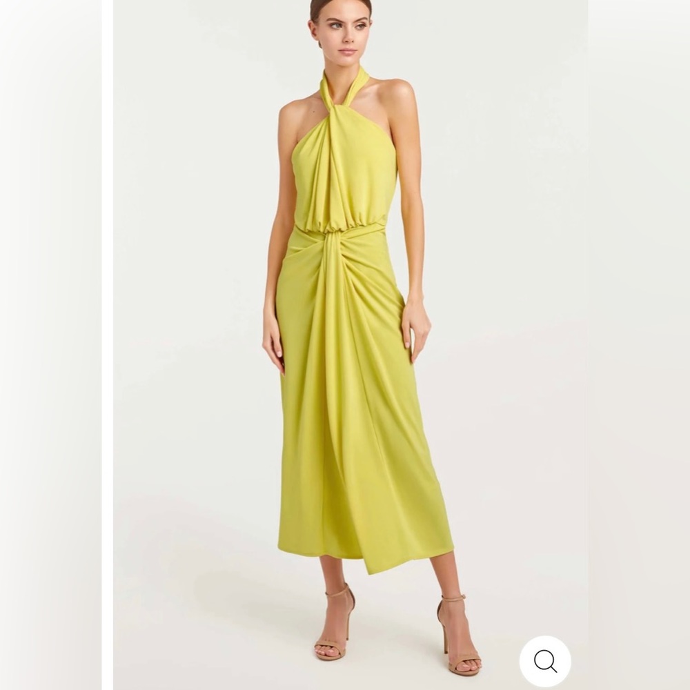 Cinq a Sept Kaily Dress. Worn once. Dry Cleaned. Like new. Regular price $365.